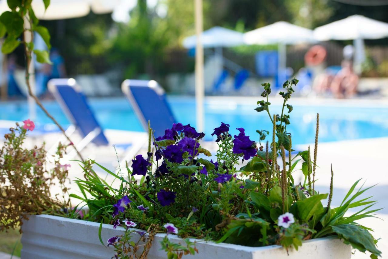 Amalia Hotel - Adults Only Dassia  Exterior foto